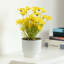 Pot à fleurs en plastique 6 pièces Ceyla
