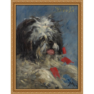 Le chien 'Donki' (1876)