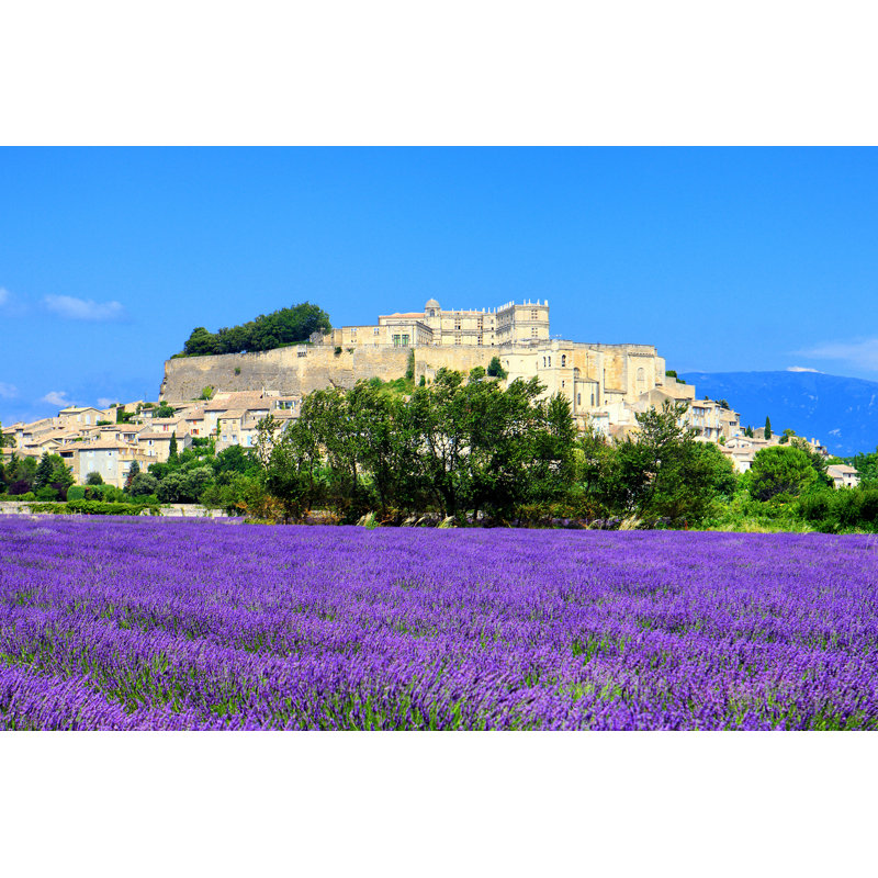 Lavender Field - Wrapped Canvas Print, 30cm H x 46cm W x 3.8cm D