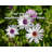 Artsy Quote "True ownership of anything requires time..." By Barbara Holland Gallery Wrapped Canvas