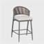 Ensemble de 2 tabourets de comptoir avec cadre en métal et rotin PE, ensemble de 2, gris mat-1933573409