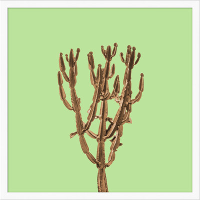 Sherbet Cactus 3 Print by Christopher Kennedy