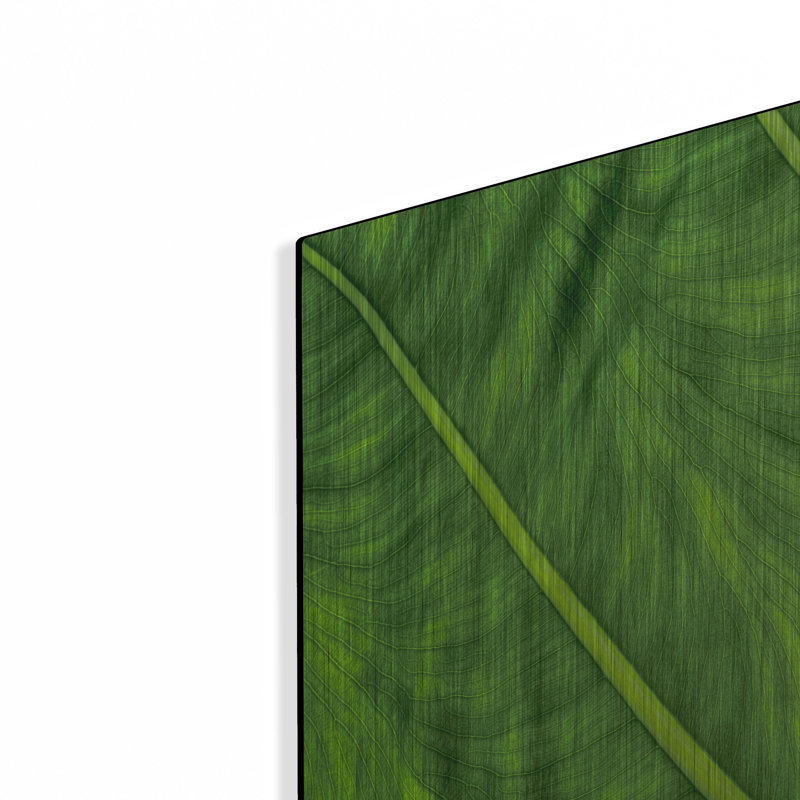 " Leaf Details " by Dennis Frates, 24" H x 36" W