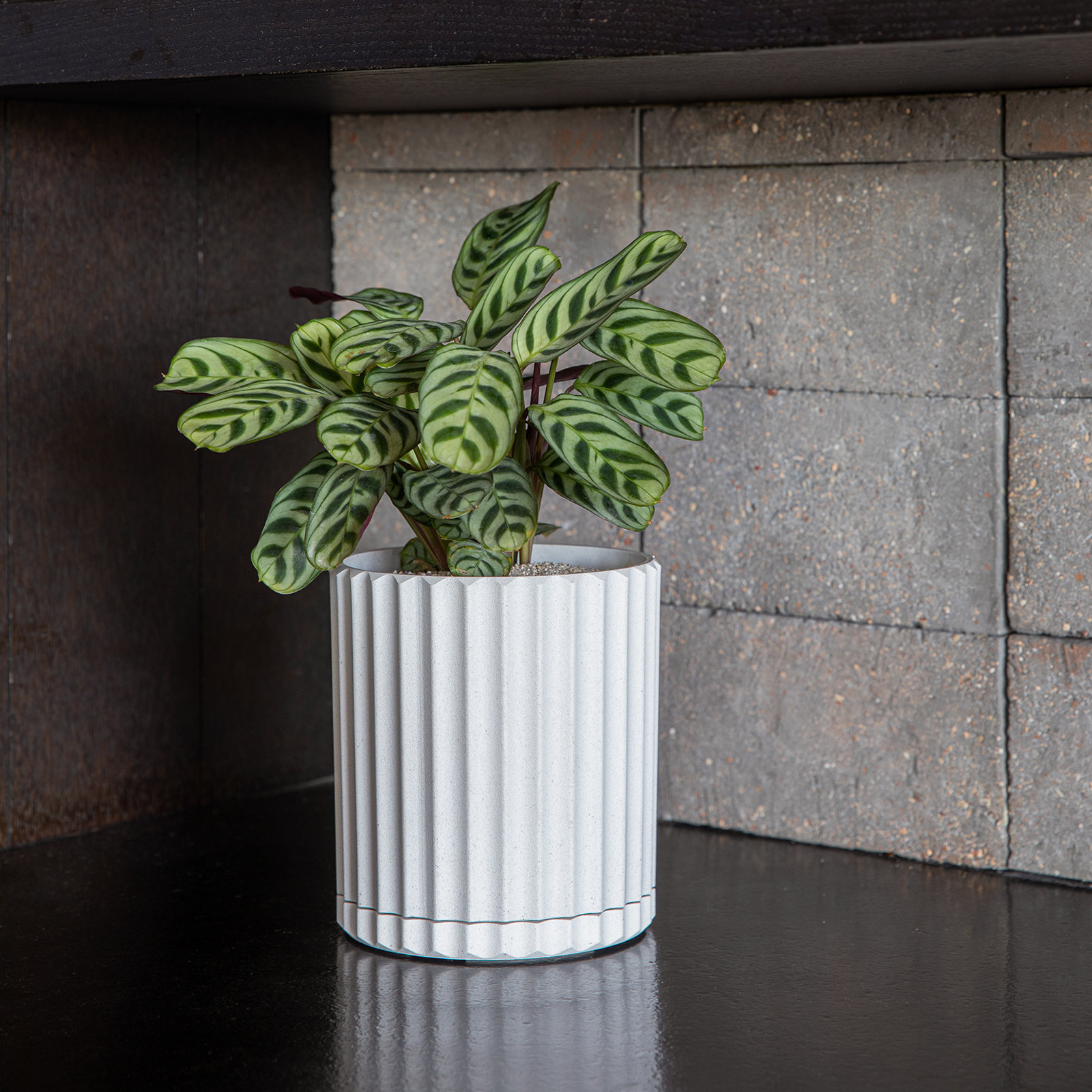 Demi Series 6" Pot Planter, White, 2