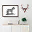 Zebra in Black & White by George Shaw - Picture Frame Drawing Print-55641227-55641225