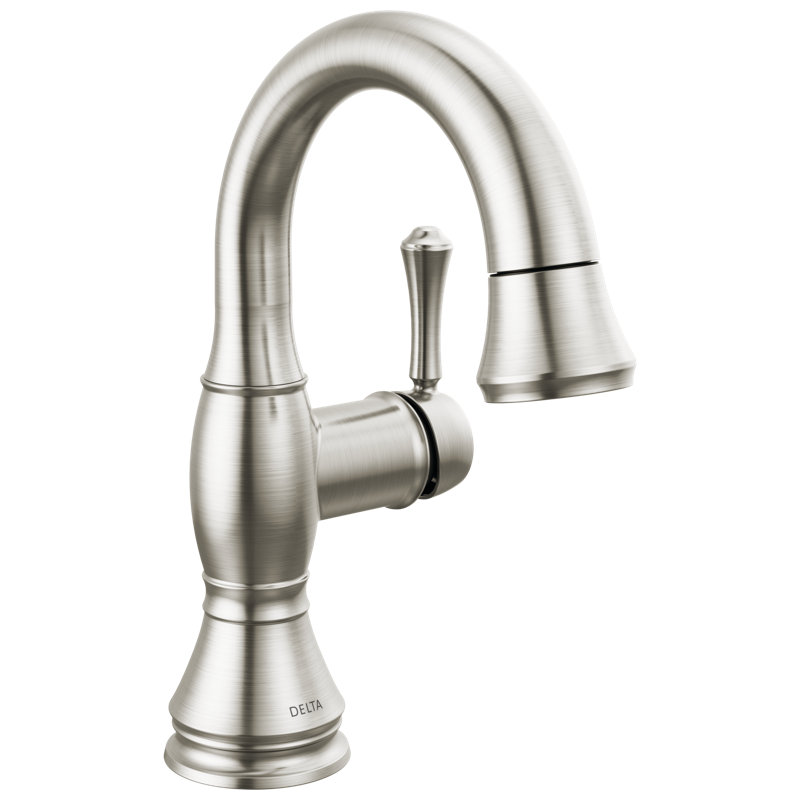 Cassidy Single Hole Pull Out Sprayer Bathroom Faucet, Single Handle Bathroom Sink Faucet, Silver