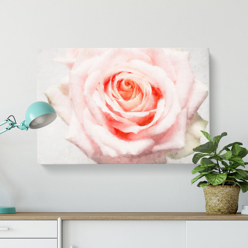 Pale Pink Rose - Wrapped Canvas Print, 60cm H x 91cm W x 3cm D