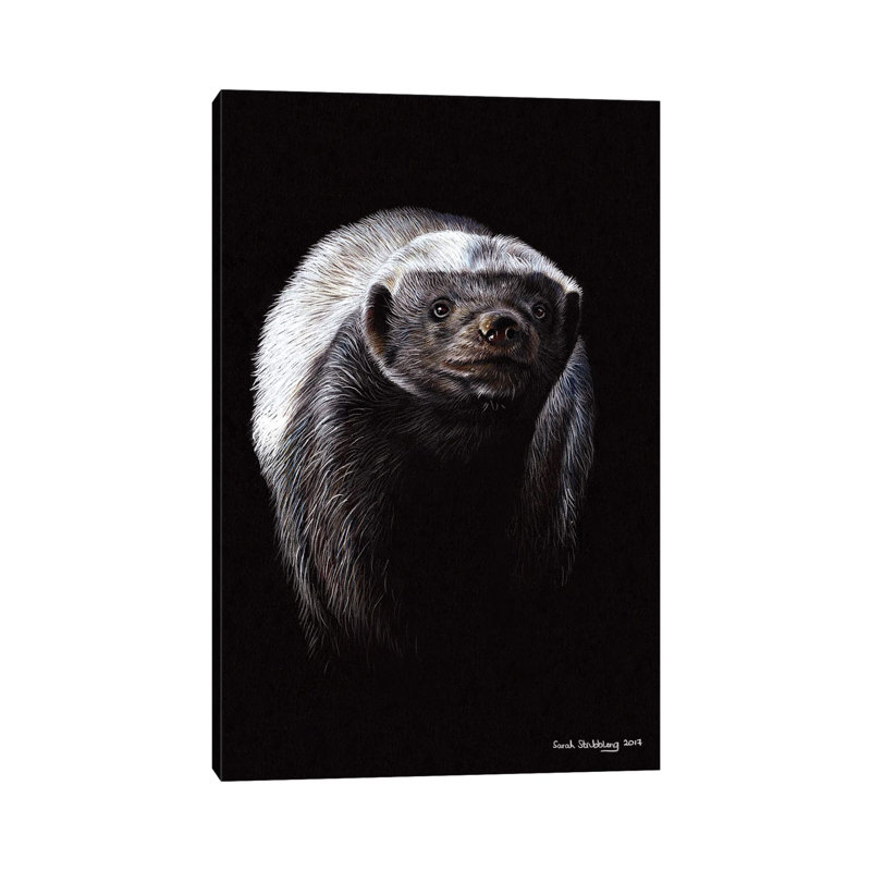 Honey Badger, H 18 po x l 12 po x 1,5 po