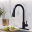 Pull Down Single Handle Kitchen Faucet