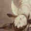 Photos des clients 4 de 5