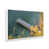 Opaque White Floater Framed is unavailable