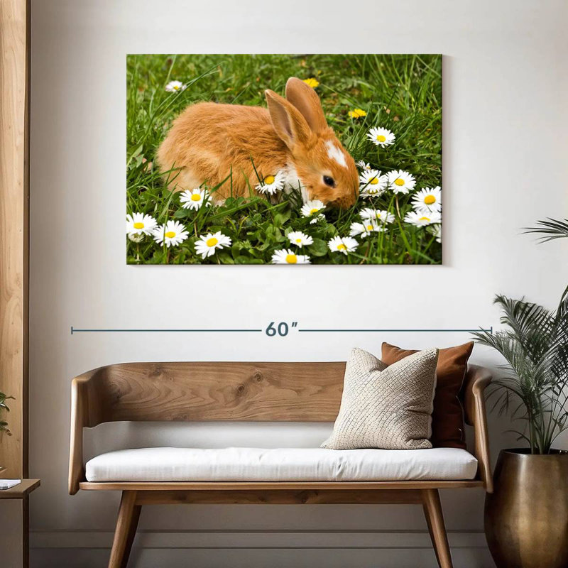 Brampt marguerites et lapin, H 30 po x l 45 po