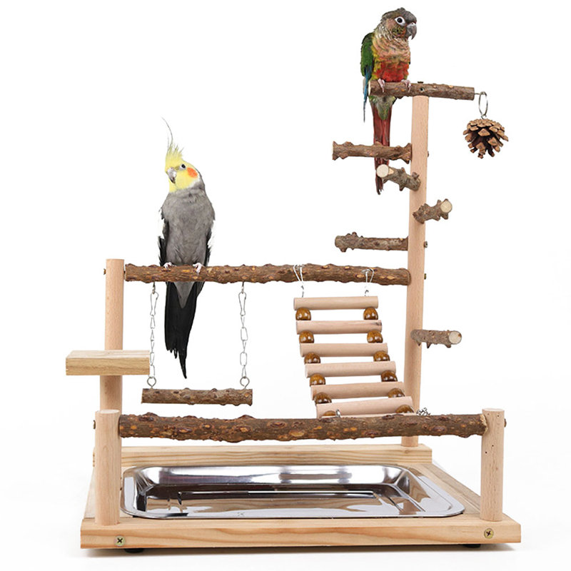 17,7 oiseaux