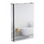 Keslynn 19.7'' W 29.53'' H Medicine Cabinet Mirror-391243475