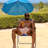 Metal Folding Beach Chair(Set Of 1)-743769770