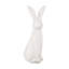 Ahnaf Animal Rabbit