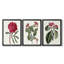 Roseat Blooms IV - Toile tendue avec châssis sur mesure - 3 pièces-479296454-479296472