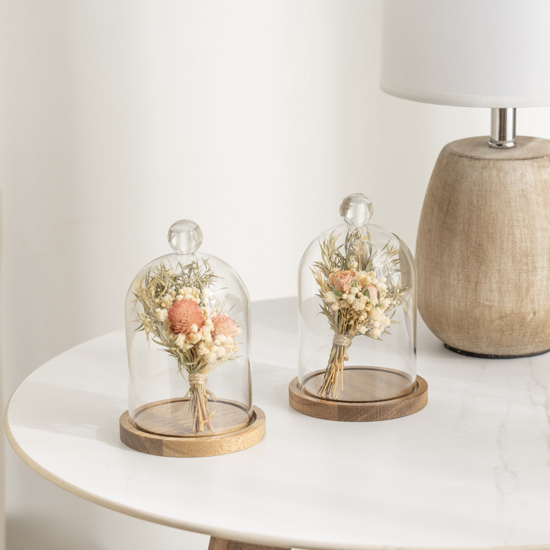 2-Piece Mini Decorative Glass Cloche Set (Set of 2) August Grove®