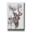 'Kudu' by Barbara Keith, Canvas Wall Art-917202385