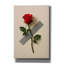  «Rose On The Wall» par Rey Klimt, art mural sur toile, 12 po x 18 po-416717460