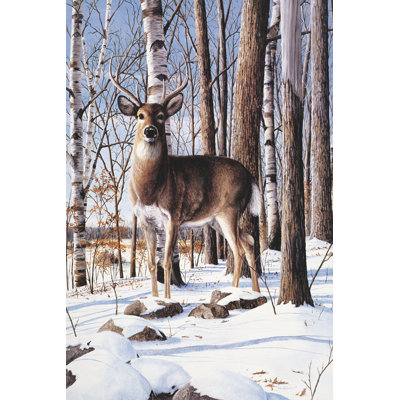 Simply Curious I - Wrapped Canvas Print