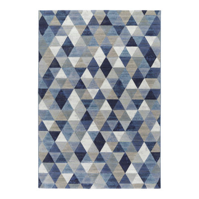 Elsmere Geometric Area Rug