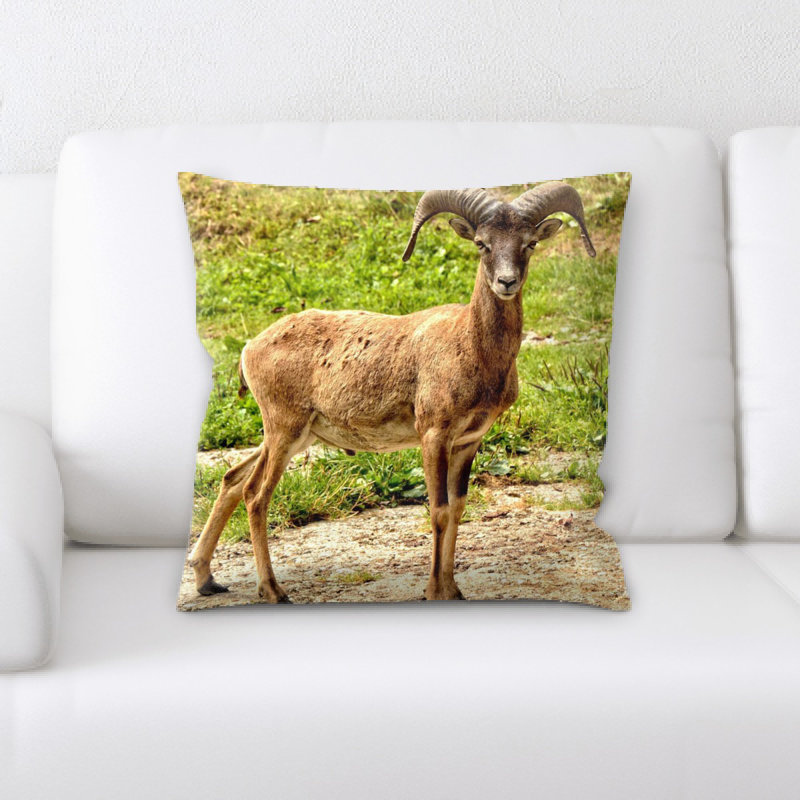 Coussin mouflon