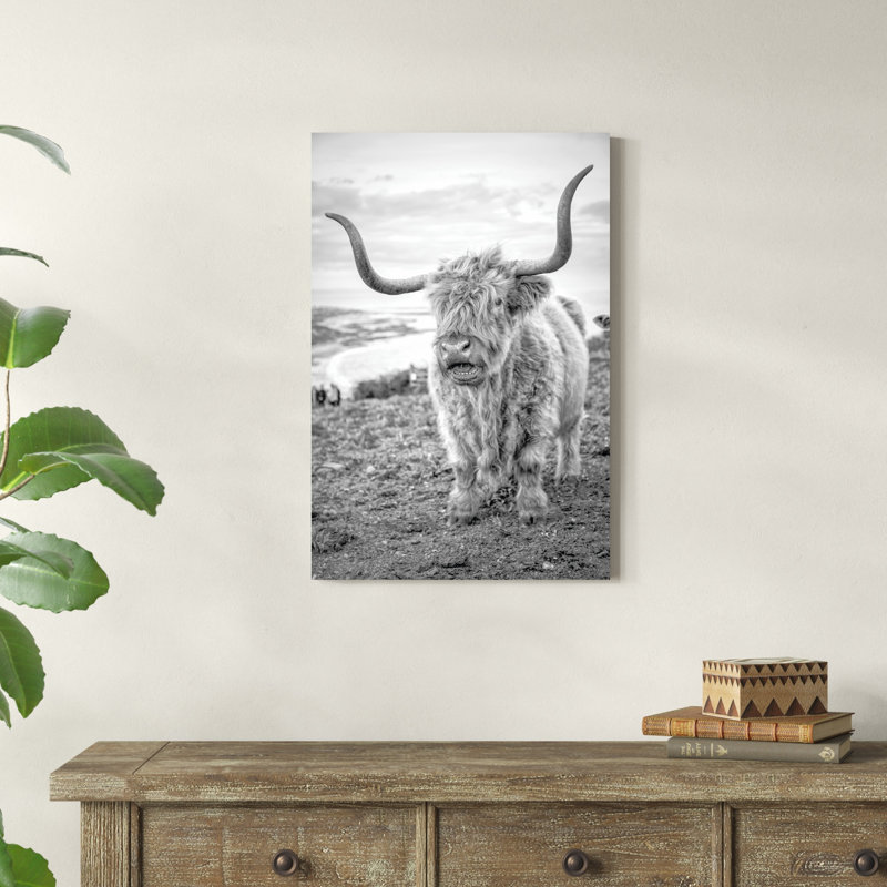 Highland Cows VI, H 30 po x l 20 po, Non, Imprimé avec cadre noir