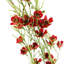 Artificial Arrangement-106401579