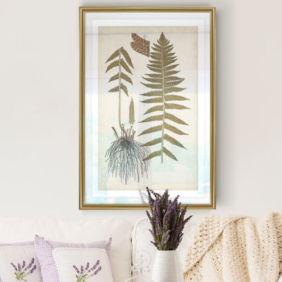 " Fern Botanical V "