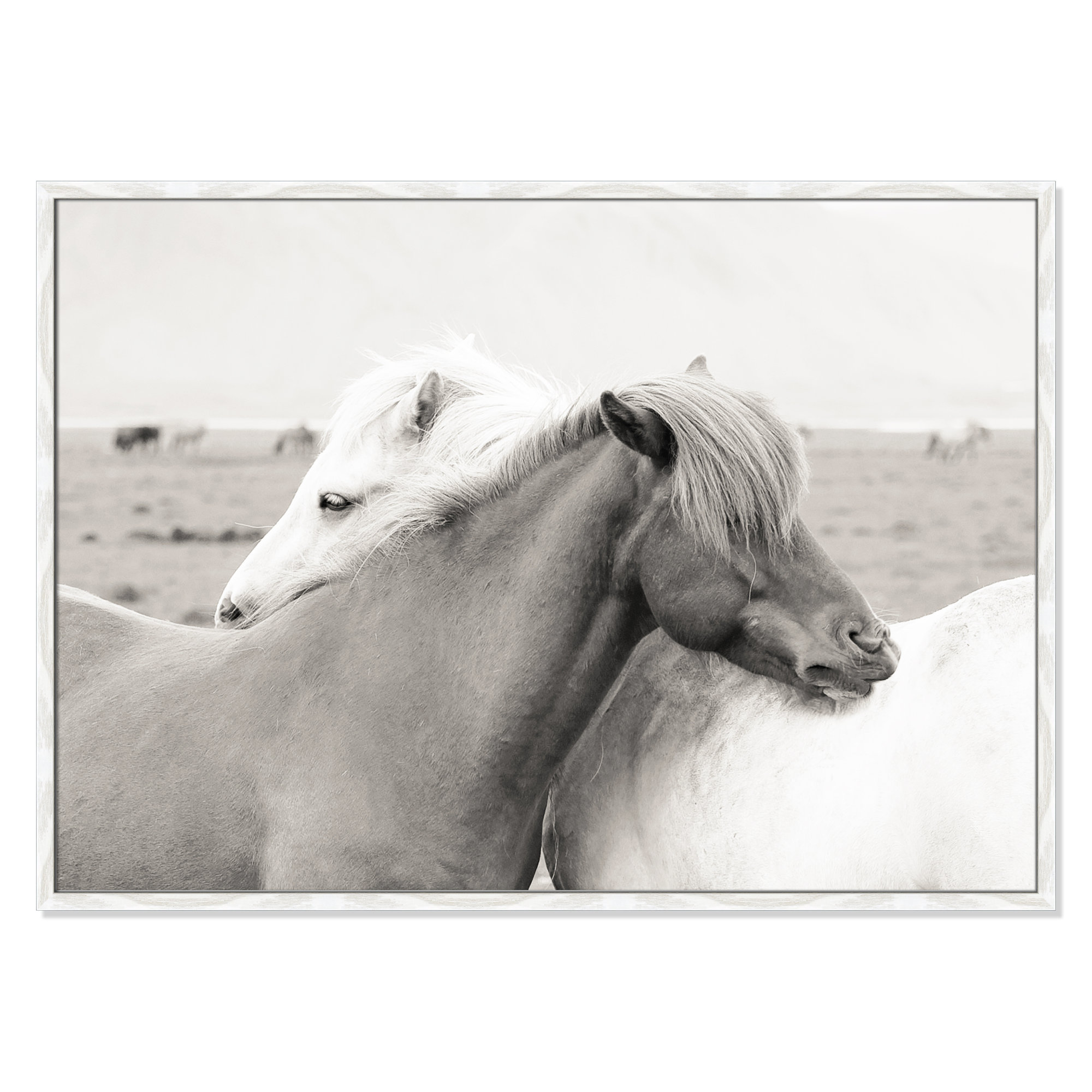 Icelandic Meadow Horses by Danita Delimont - Picture Frame Photograph on Paper, 29.5" H x 41.5" W x 0.75" D