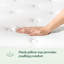 Matelas hybride gel rafraîchissant 14 po Zinus-619620427-565291847