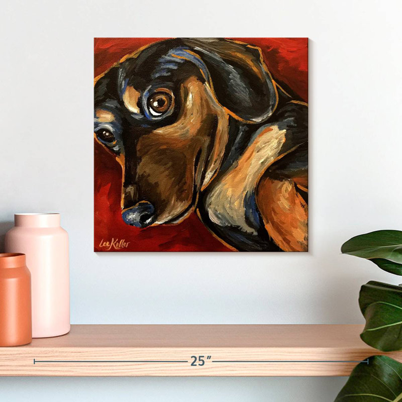 Brampt Dachshund Expressive