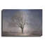 «The Tree Fairy Tale» par Philippe Sainte-Laudy, art mural en métal, 24 po x 16 po-1105538713