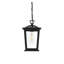 Luminaire suspendu d'extérieur noir Deidra 7 pouces