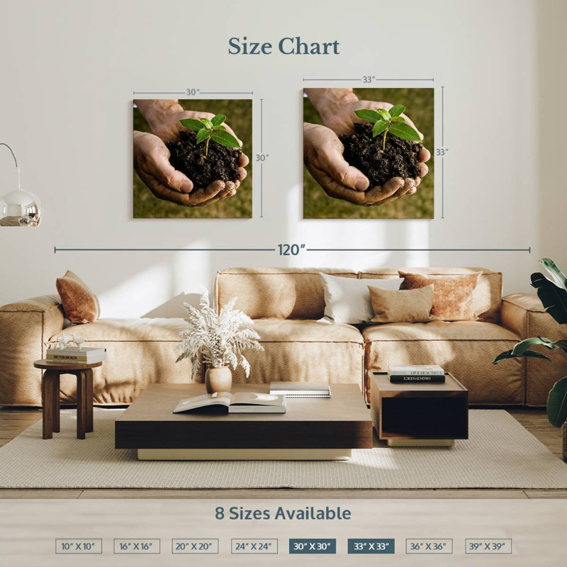 Senne New Seedling Sprouting, 30'' H x 30'' W