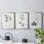 «Botanical Imprint I», ensemble de 3 peintures sur toile encadrées-1130262993-1130263006