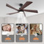 5-Blade Transitional Modern Solid Wood LED Ceiling Fan with Dimmable Light and Remote-1396821069-1376541970