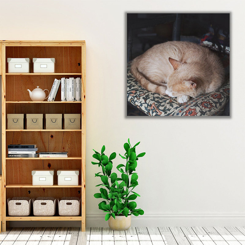 Sleepy Afternoon - Canvas Print Wall Art, 30" H x 30" W