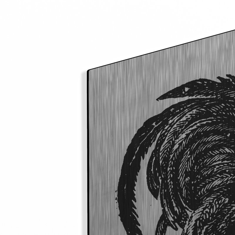 «August Rooster» August Grove® par Art Licensing Studio, art mural en métal, H 36 po x l 36 po