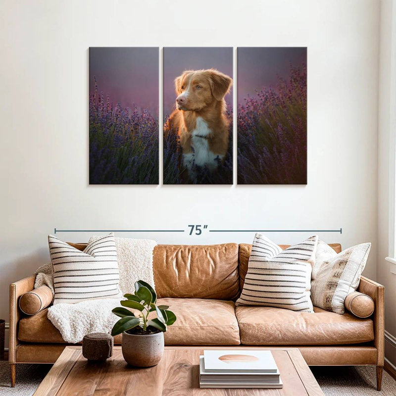 Golden retriever dans un champ de lavande, H 36 po x l 57 po