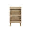 Armoire de rangement pour chaussures 23,6 po Mid-Century Slim-368379296