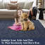 Tapis modernes modernes abstraits pour le salon Tapis à poils courts et doux Tapis lavable pour l'intérieur-1462136058