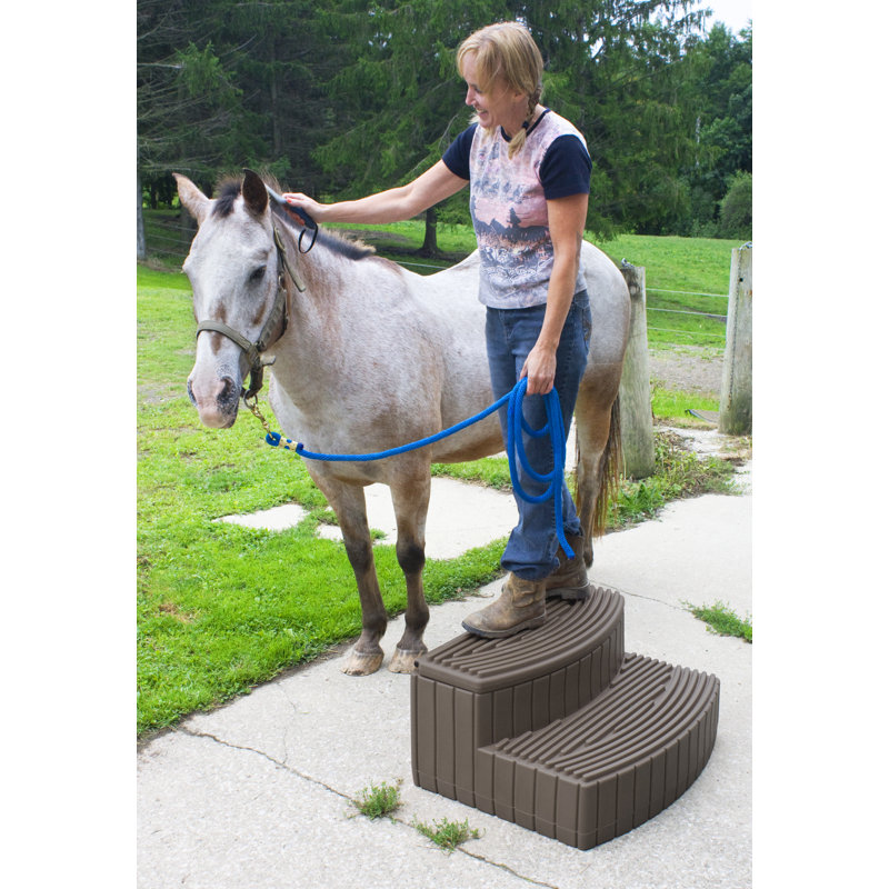 2 - Step Plastic Hot Tub Step, Oak