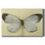 Toile tendue Chrysalis-Gallery-1702698104