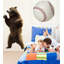 Adhésif décoratif ours-672091303