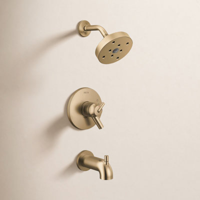 Trinsic 17 Series Dual-Function Tub Shower Set