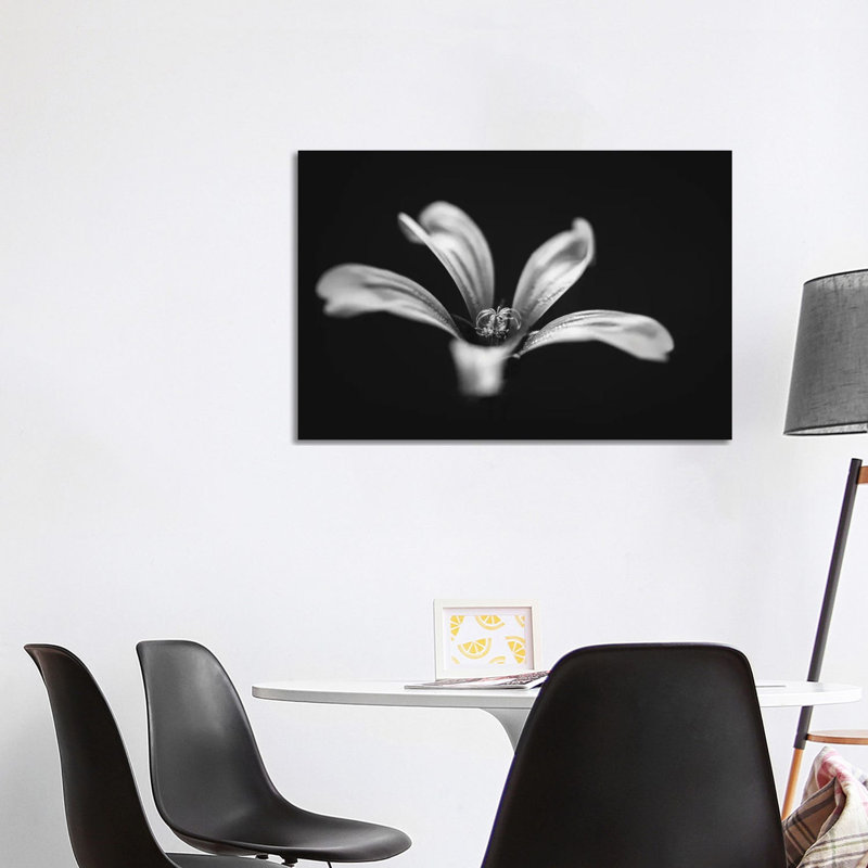 Monochrome Beautiful Flower Dark Graphite Background by Nik Rave - Wrapped Canvas Print, Wrapped Canvas