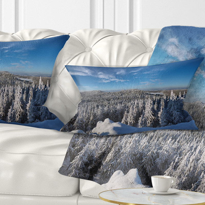 Coussin lombaire Schaol