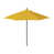 Citron est en rupture de stock